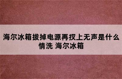 海尔冰箱拔掉电源再扠上无声是什么情洗 海尔冰箱